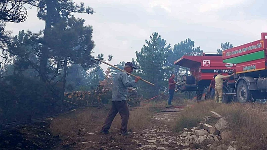 Bolu'da aynı ilçede 2 farklı orman yangını