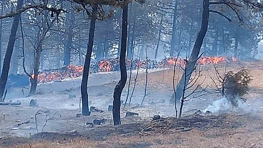 Bolu'da aynı ilçede 2 farklı orman yangını