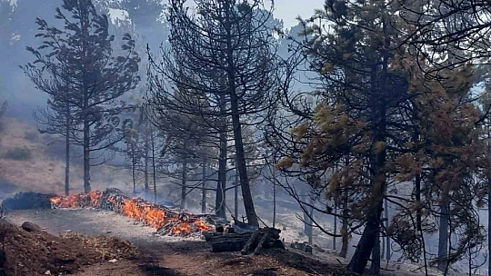 Bolu'da aynı ilçede 2 farklı orman yangını
