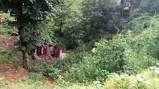 Çay toplamaya gidenleri taşıyan kamyonet şarampole uçtu: 3 yaralı