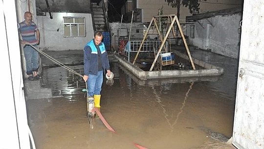 Dolu hayatı felç etti: Çatı çöktü, ağaçlar devrildi