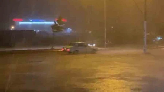 Dolu hayatı felç etti: Çatı çöktü, ağaçlar devrildi