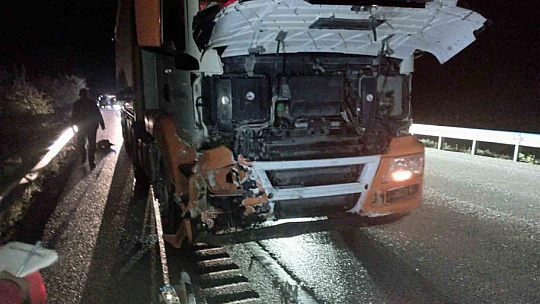 Çorum'da büyükbaş hayvan kazaya neden oldu: 4 yaralı