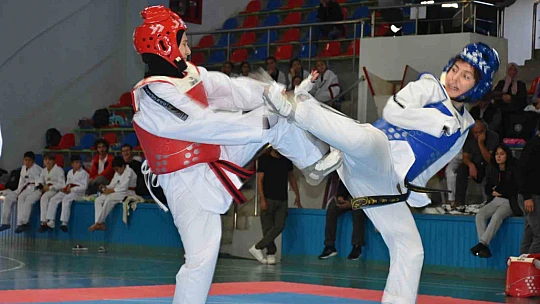 210 sporcunun katılımı ile Bölgesel Tekvando Turnuvası düzenlendi