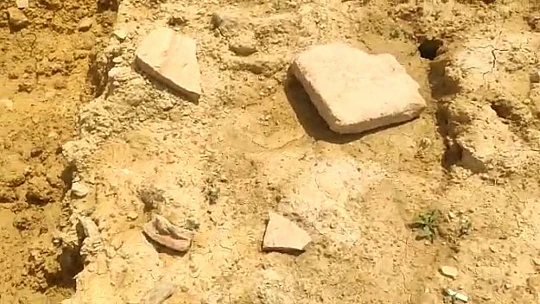 Dağlık arazide kaçak kazı yaparken jandarmaya yakalandılar