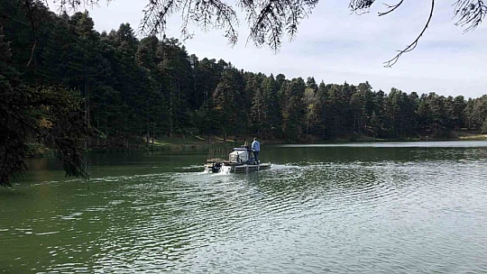 Doğa harikası Gölcük Tabiat Parkı temizleniyor