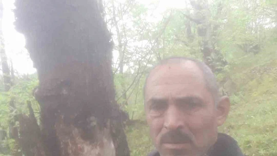 Dünyanın en yaşlı porsuk ağacı tehlike altında