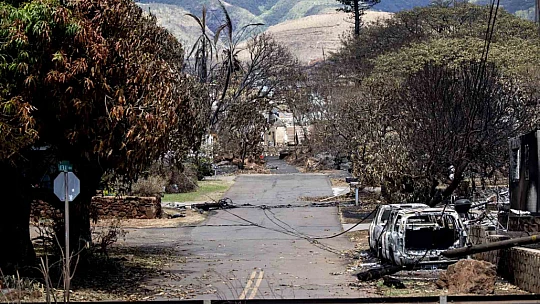 Hawaii'deki orman yangınlarında can kaybı 106'ya yükseldi