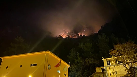 İnkumu'nda Orman Yangını