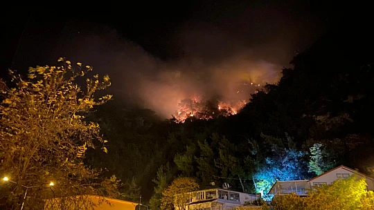 İnkumu'nda Orman Yangını
