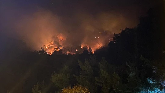 İnkumu'nda Orman Yangını