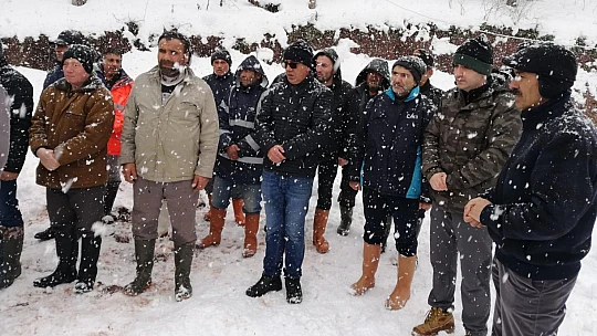 Kurucaşile Kaymakamı Evsen Çalışmaları yerinde takip ediyor