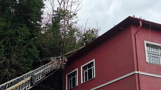 Karakolun çatısına devrilen ağaç kaldırıldı