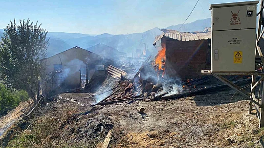 Kastamonu'da 10 ev, 3 ahır yandı
