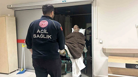 Kaybolduğu ormanda 14 gün boyunca mağaraya sığınıp, ot yiyerek hayatta kaldı