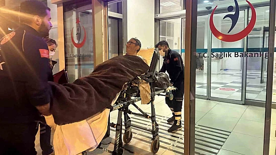 Kaybolduğu ormanda 14 gün boyunca mağaraya sığınıp, ot yiyerek hayatta kaldı