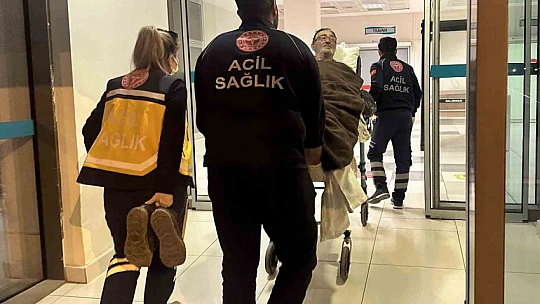 Kaybolduğu ormanda 14 gün boyunca mağaraya sığınıp, ot yiyerek hayatta kaldı