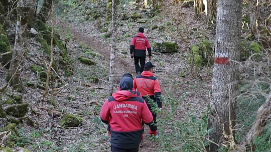 Kaybolduğu ormanda 14 gün boyunca mağaraya sığınıp, ot yiyerek hayatta kaldı