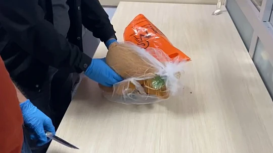 Oyuncak ayıdan yarım kilo uyuşturucu çıktı