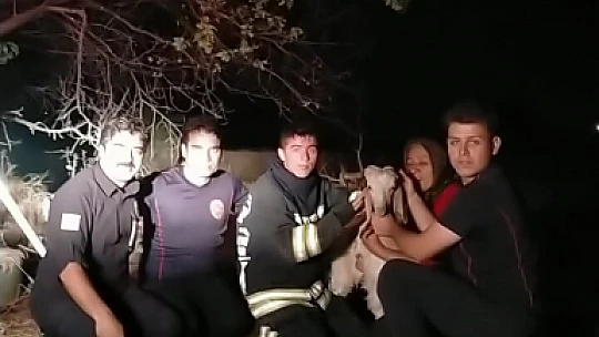 Konya'da 12 metrelik kuyuya düşen keçiyi itfaiye kurtardı