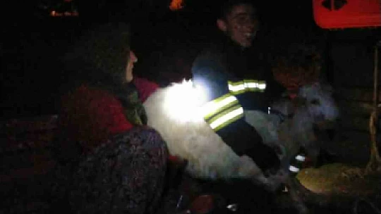 Konya'da 12 metrelik kuyuya düşen keçiyi itfaiye kurtardı
