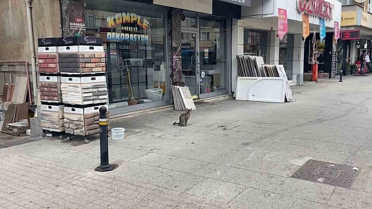 Maltepe'de genç kadının, dakikalarca yalvardığı saldırgan: 5 el ateş açtı