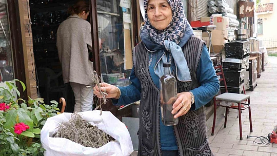 Ormandan topladığı kekiklerden şifa deposu üretiyor