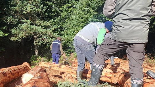 Ormanlarda yeni sistem pilot bölge seçilen Aladağ'da başladı