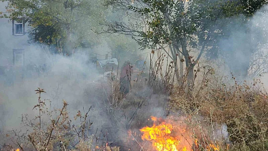 Rüzgarla yayılan yangına hortumla müdahele