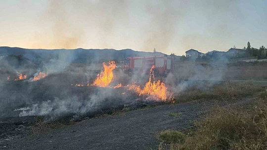 Rüzgarla yayılan yangına hortumla müdahele