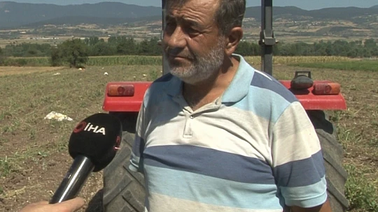 Patates diyarı Bolu'da hasat başladı