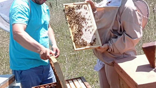 Abdipaşalı aile İstanbul'da bal üretiyor