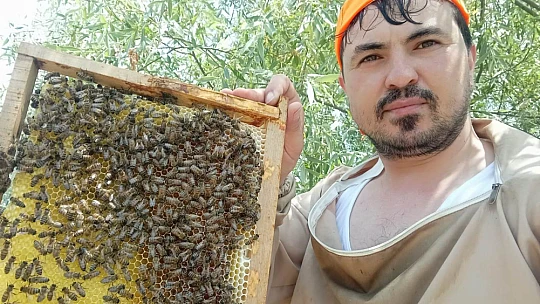 Abdipaşalı aile İstanbul'da bal üretiyor
