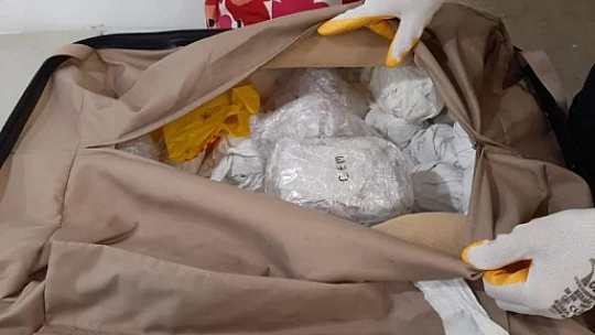 Sarp Sınır Kapısı'nda 2 bin 850 adet kaktüs ele geçirildi