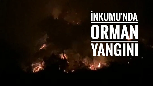 İnkumu'nda Orman Yangını