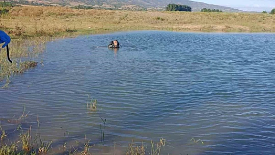 Serinlemek için gittiği gölette hayatını kaybetti