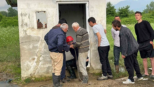 Su kuyusuna düşen ineklere kurtarma operasyonu