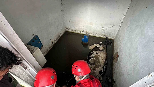 Su kuyusuna düşen ineklere kurtarma operasyonu