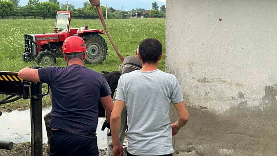 Su kuyusuna düşen ineklere kurtarma operasyonu