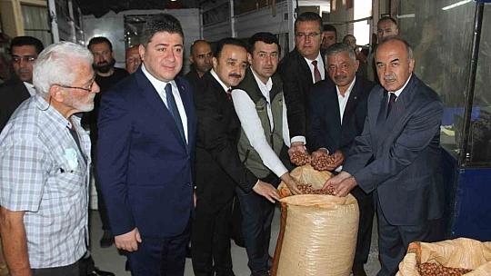 Fındık alımlarına başladı: İlk fındık 90 liradan satıldı