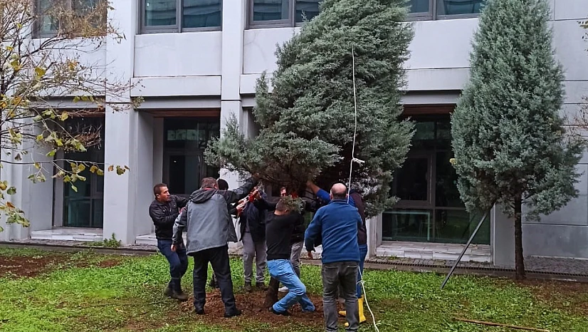 ZBEÜ'de Fırtınada Zarar Gören 68 Ağaca Destek Yapıldı